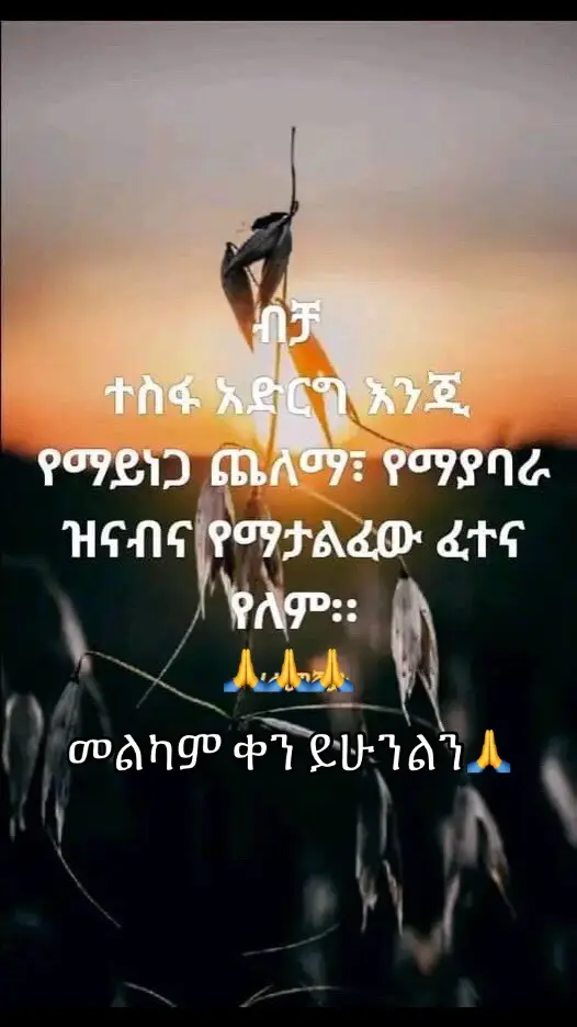 #quotestory #quoteoftheday #ሀገሬኢትዮጵያ🇪🇹💚💛❤️ #poem #uae🇦🇪 #ኢትዩዽያዬ #ሀገሬን_አትንኳ #እትዮጵያ_ለዘላለም_ትኑር🇪🇹ሀገሬ #fy #fyp #ሀገሬኢትዮጵያ🇪🇹 #habesha #ኢትዮጵያ_ለዘለዓለም_ትኑር🇪🇹🇪🇹🇪🇹 #ሀገሬ_ክፉሽን_አያሰማኝ💚💛❤️🇪🇹 #abudhabi #dubai #ኢትዩጵያን🇪🇹💚💛❤️ቲክቶክ💚💛❤️ #ሀገሬ 