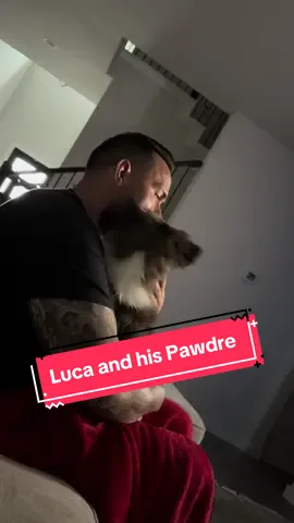 Caught this cute moment today 💙 Pure love between a Pawdre and his pup 🐶🐾 #dogdaddy #pawdre #puppylove #dogsoftiktok 