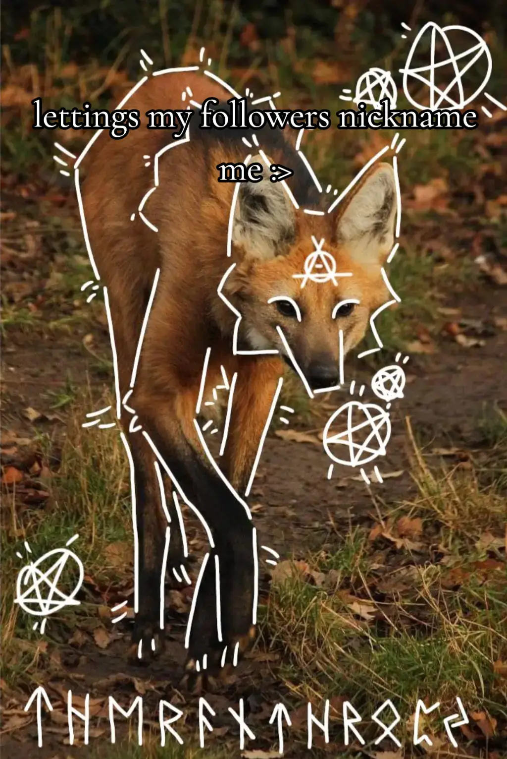 #theriansoftiktok🐾🍂🦊 #therian #theriantiktok #therianthropytiktok #theriansoftiktok🐾 #therianpride #theriantiktok🐾 #theriansoftiktok #therianthropy #therianlife #quadrobics #quadrobist #furryfandom 