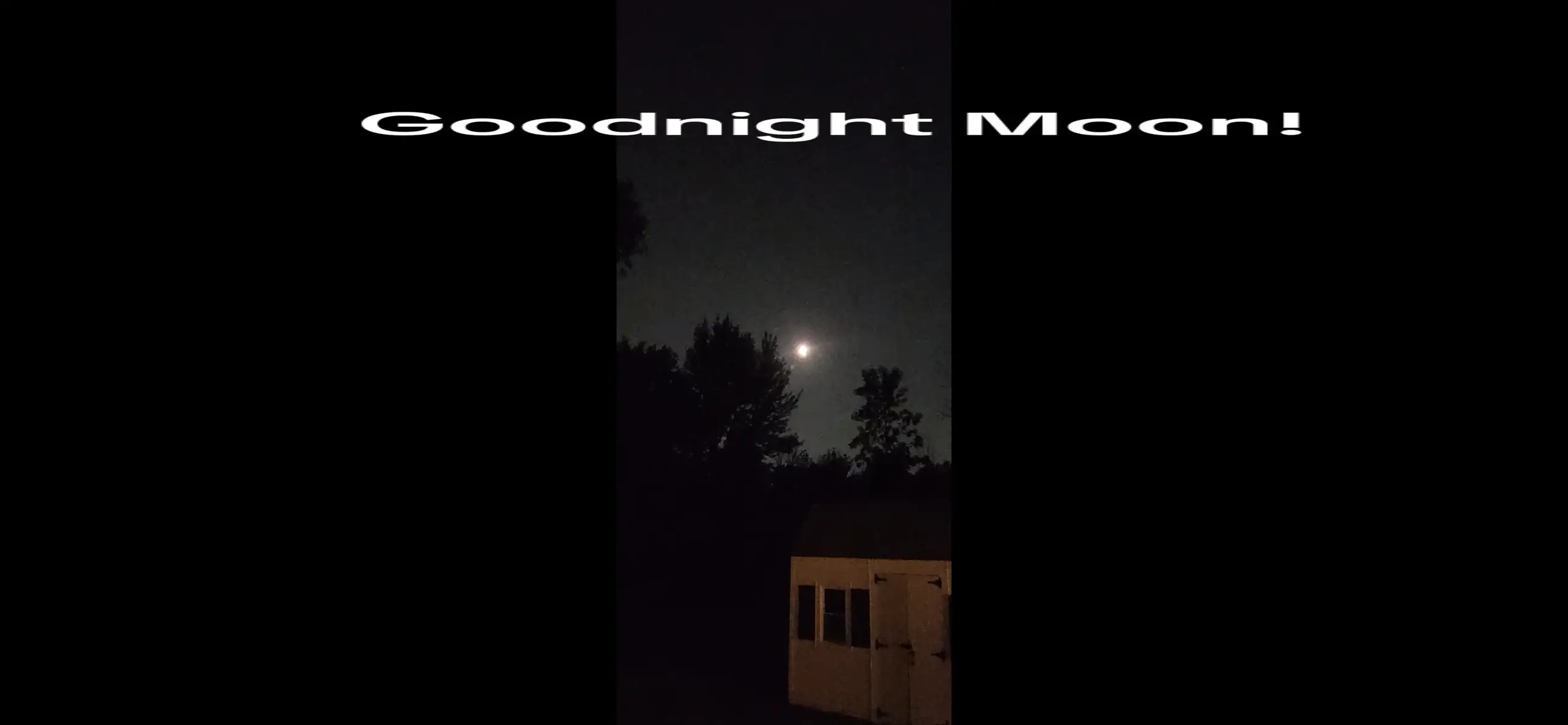 #goodnightmoon #goodnight #backyardvibes #moon #fypシ゚viral #weshowup #kidsoftiktok #MomsofTikTok 