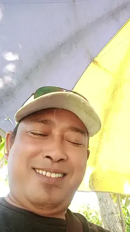 wes pokoe niate gawe wong seneng#fypシ゚viral #fypage 