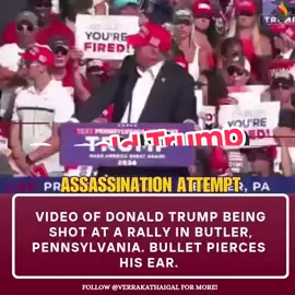 #donaldtrump getting shot at a rally. His ear is grazed. The shooter is now dead. #donaldtrump #Trump #donaldtrumpnews #donaldtrumpshot #donaldtrumpassassination #assassinationdonaldtrump #pennsylvania #trumprally 