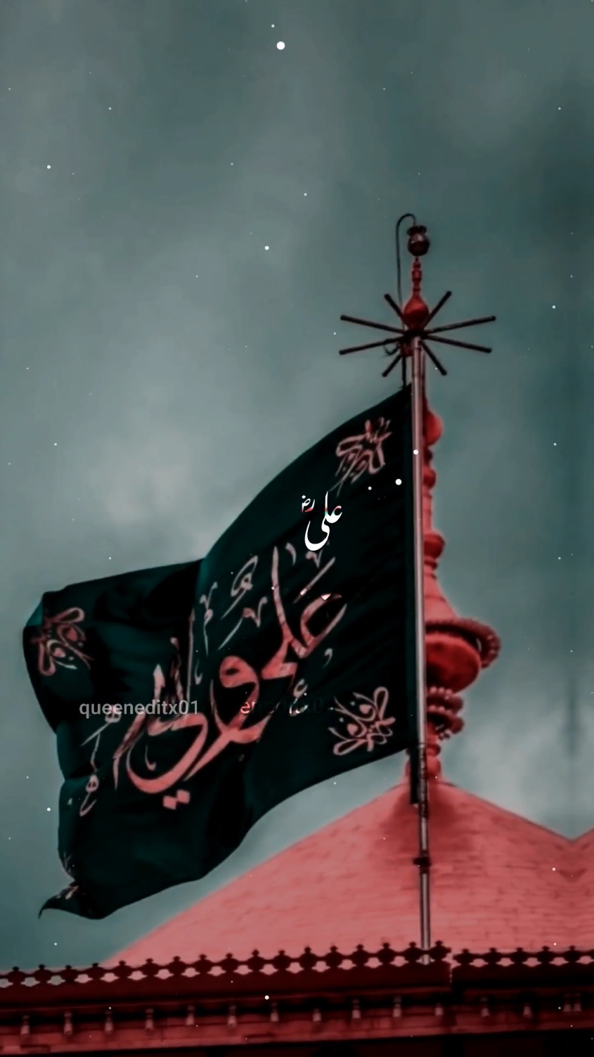 Shah e mardan Ali ؓ 💫❤️ ........ Muharram 2024 status ....... #shahemardanali #imamali #molaali #islamic #muharramstatus #muharram2024 #muharram #naatsharif #naatstatus #viral #islamicstatus #karbalastatus #fyp #growmyaccount #queeneditx01 