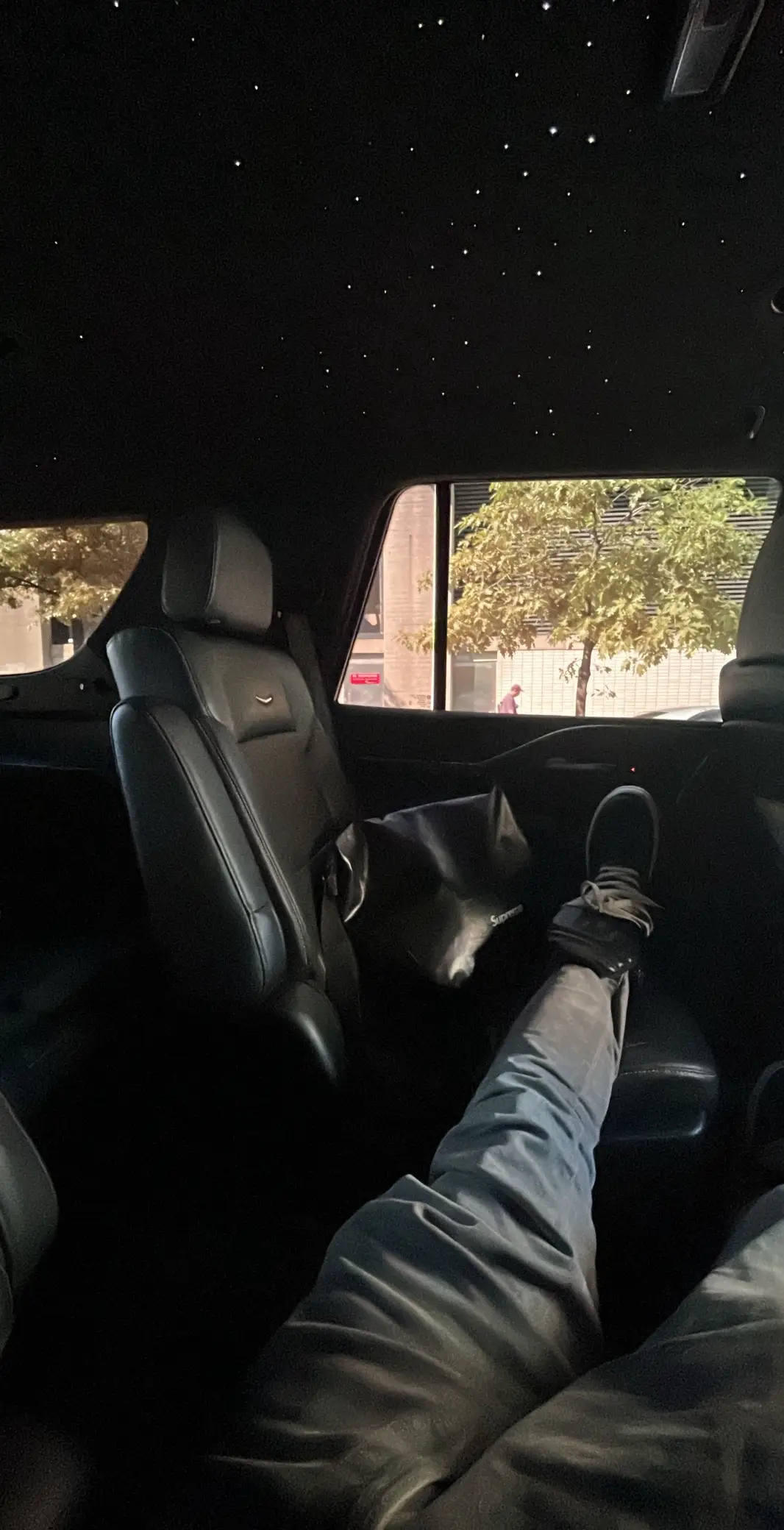 #foryoupage #fypシ゚viral #xybca #viral #dump #rylorodriguez #fyp #foryou 