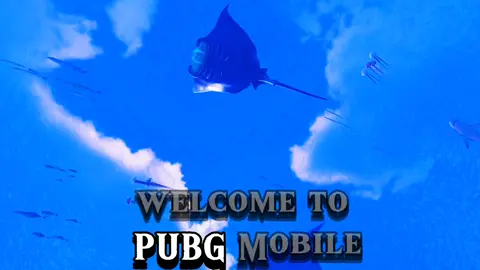 *welcome to PUBG Battle Royal*❤‍🔥 @pubgmobile @pubgmobileofficialid  #pubgmindonesia #pubgmobile #pubg #oceanoddysey #ocean 