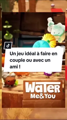 Un jeu idéal à faire en couple ou avec un ami ! #GamingOnTikTok #indiegame #cozygames #harmonyldoll 