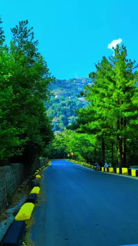hello From Murrre Beauty Of Murree 🤍 subscribe YouTube Channel link in bio ❤️  #foryoupage #fyp #islamabad_beauty03 #islamabad #foryou #viralvideo #trending #murree 