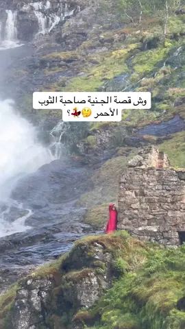 أشهر مزار سياحي في النرويج ، قطار فلام ياخذكم رحلة الى الشلال مدة الرحلة ساعتين ✅ #سفر #wheretovisit #النرويج 