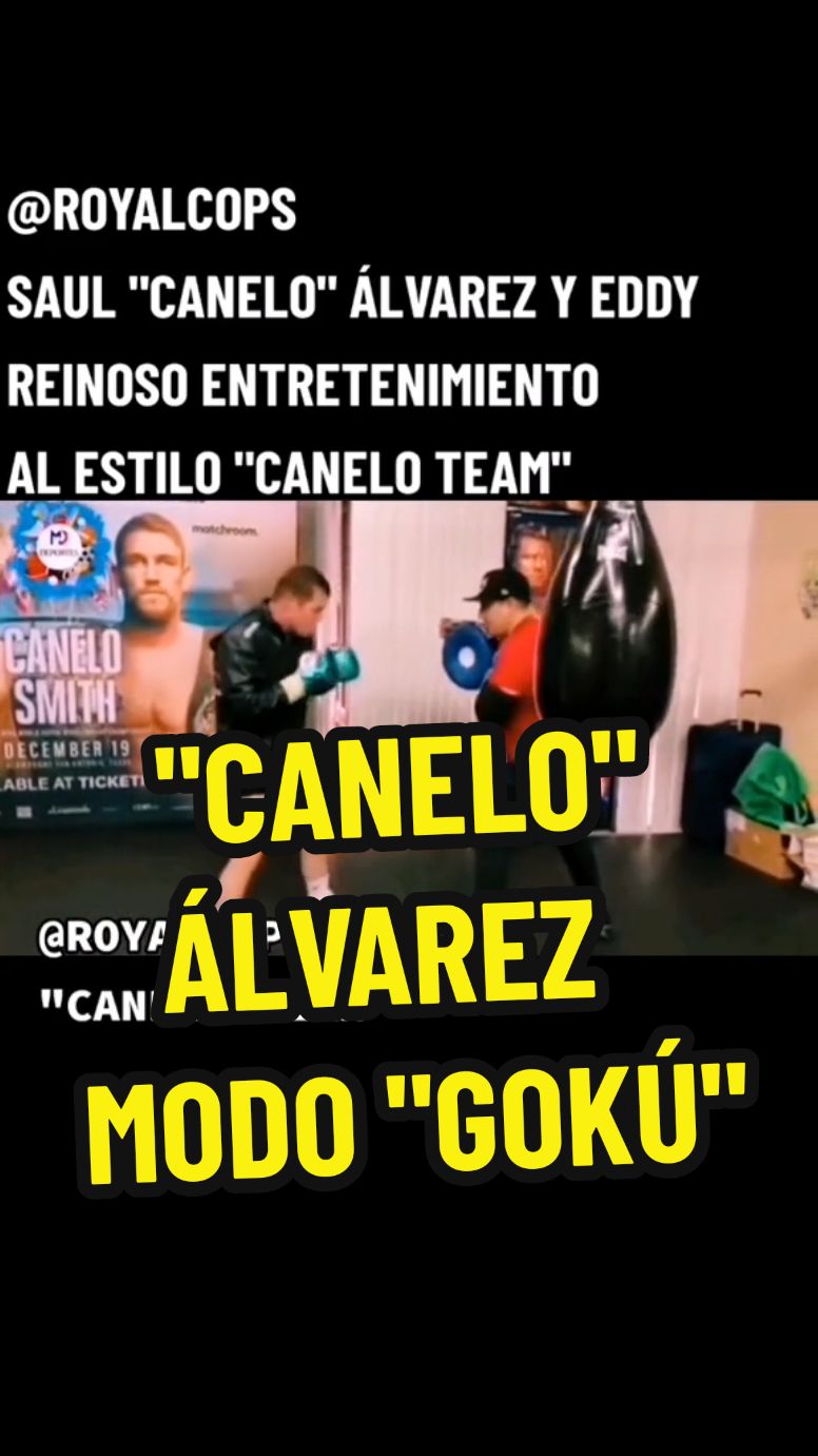 @ROYALCOPS @canelo #Boxeo #Canelo #Sparring #Sesion #SesiondeBoxeo #Entrenamiento #Caneloteam #EddyReynoso #caneloalvarez #SaulAlvarez #saulcaneloalvarez #ElCanelo #ElcaneloAlvarez #saulelcanelosalvarez #Box #Boxing #boxeomexicano #ROYALCOPS Doblaje y/o Parodia solo para entretenimiento. Derechos de imagen reservados de Diversas televisoras, canales y/o cuentas. DERECHOS DE VOCES Y DIÁLOGOS CORTESÍA DE ROYALCOPS. 