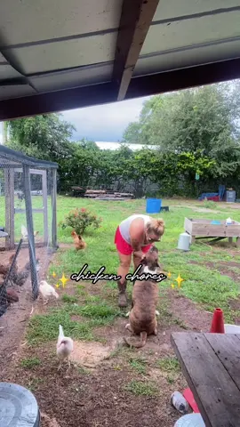 OBSESSED with these shorts! 😍☀️ So soft & lightweight while I’m sweatin my butt off doing chicken chores 😅 #chickenchores #summershorts #farmchores #homestead #raisingchickens #summervibes #heatwave  #CapCut 
