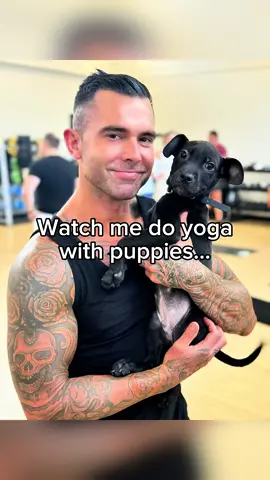 🐶🧘🏻‍♂️ Please check out @Rescue Puppy Yoga #puppy #yoga #adoptme 