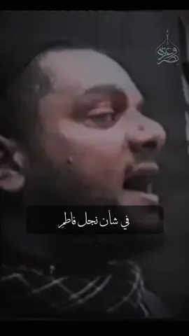 كربلاء العطاء ف٢|#حسين_الاكرف  #عزاء #محرم #1446 #tik 