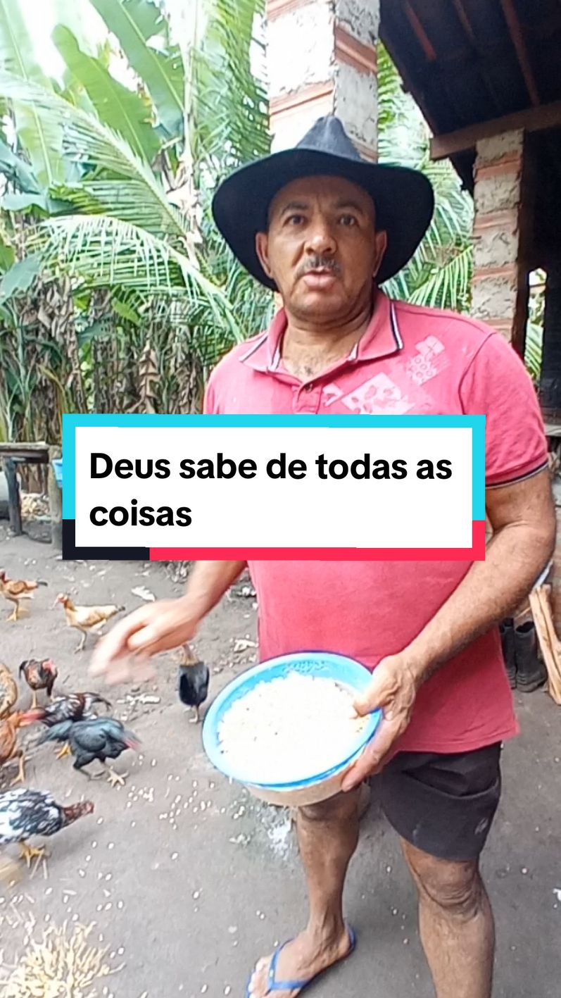 Deus sabe de todas as coisas 