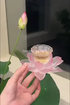 credits xiaohongshu ID: 1167477747 #fyp #tea #lotus #lotusflower #teacup #xiaohongshu 