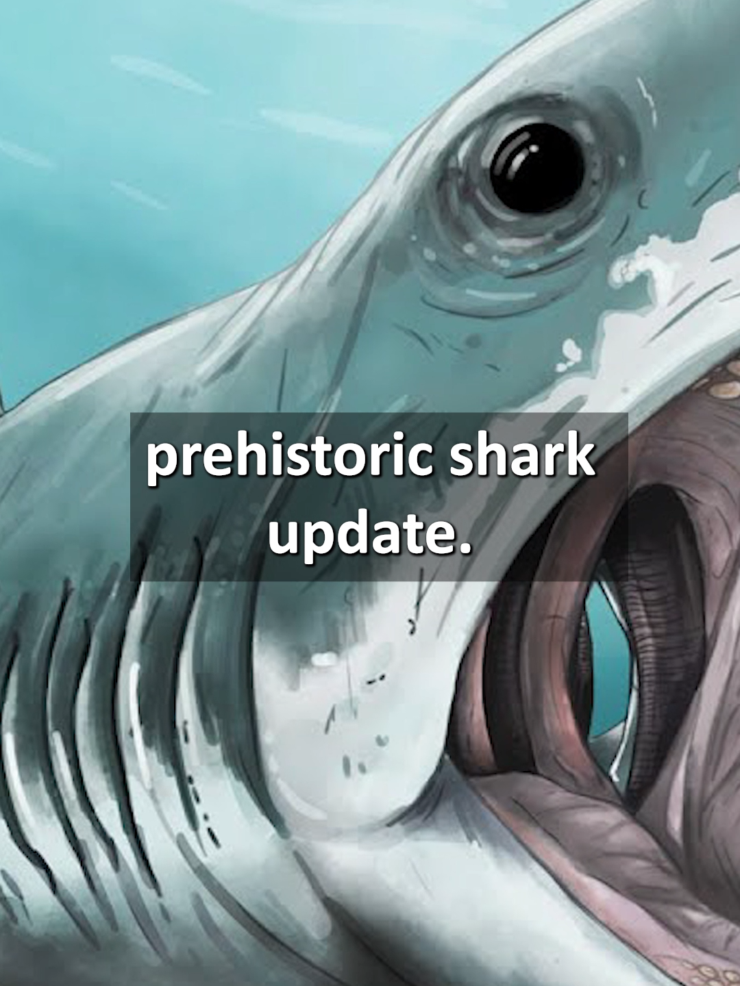 Important prehistoric shark update!! 🦈#sharkweek #shark #sharks #sharksoftiktok #ptychodus #fish #prehistoric #extinct #extinctanimals #cretaceous #mosasaurus