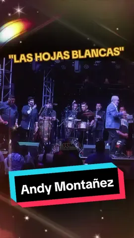Las hojas blancas - Andy Montañez #foryoupage #fypシ #viral #salsa #Salsumba #salseros #TodaLaSalsaEnUnSoloLugar 