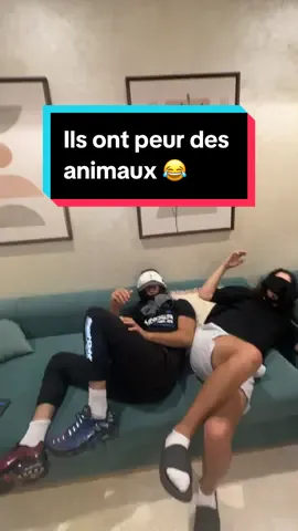 C’est trop marrant ce jeu 😂 @Cifbou compte live @RiyadKb9🌟 #faressalvatore #cifbou #humour 