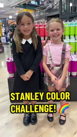What color did YOU think it was?! 🌈🤔 ##fyp##stanley##StanleyCup##trend##trendy##trending##justforfun##popular