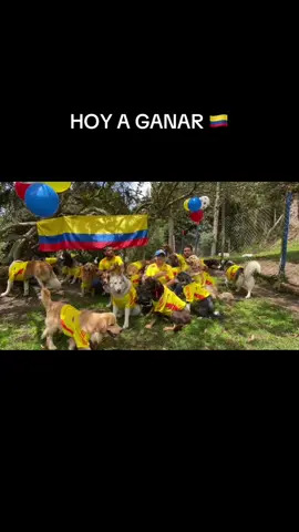 Estamos Listos para Apoyar A Nuestra Seleccion Colombia 🇨🇴 . .Hoy a Ganar  . .#copaamerica2024 #apoyandoalaseleccioncolombia #colombia🇨🇴 #guarderiacanina #perros #colegiocaninocampestre❤️ #perrostiktok #mascotasfelices🐾🐾🥰 