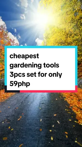 cheapest 3PCS Set outdoor Gardening Tools Wooden Handle under ₱59.00 Hurry - Ends tomorrow!
