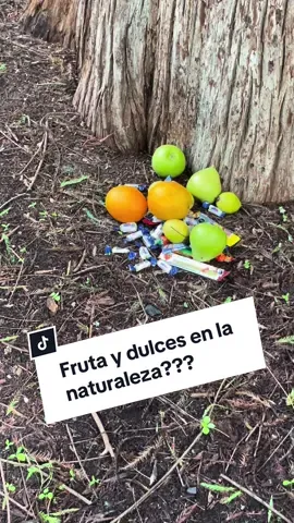 Energia, duendes, brujeria, ceremonias, ancestros, o que hace eso en la naturaleza ?#energia #duendes #brujeria #ancestros #ceremonias #ancestral 