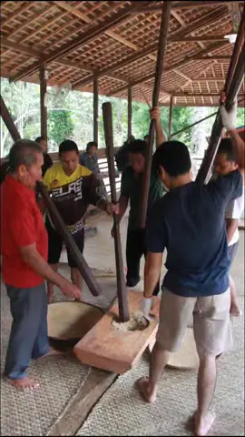Nutuk Beham 2024 . #nutukbeham #nutukbeham2024 #kedangipil #kotabangundarat #kutaikartanegara #kalimantantimur #kutai #kutaiadatlawas #budaya 