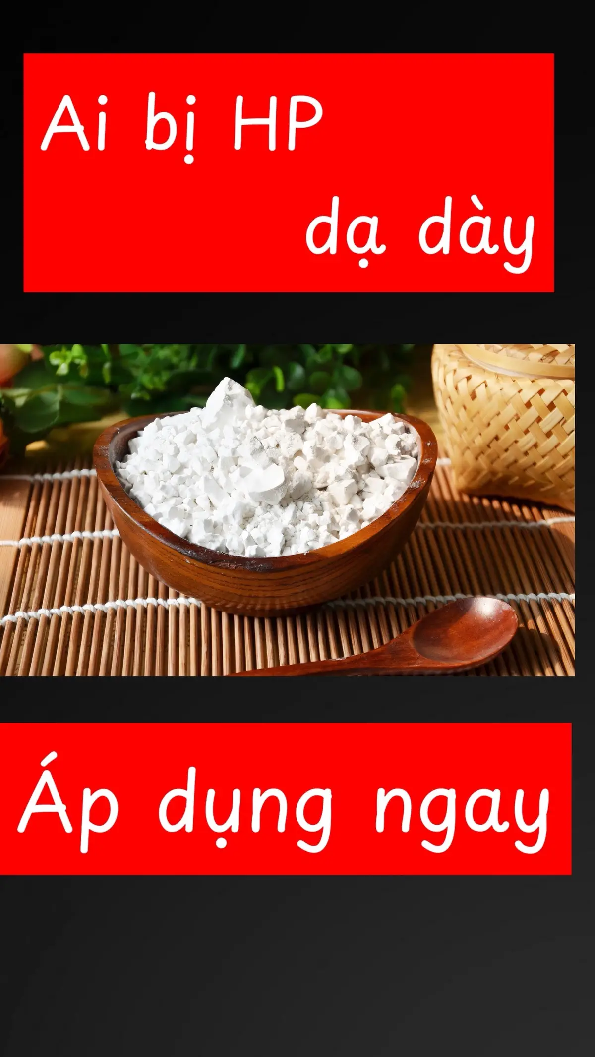 Ai bị dạ dày áp dụng ngay #caythuocquanhta #nhàthuốchảiphongđường 