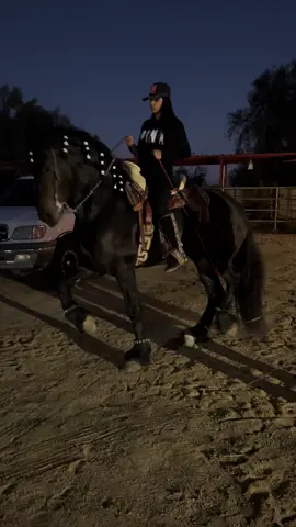 🤌🏽🤌🏽😍😍#friesian #caballo #fypage #travieso #paratiiiiiiiiiiiiiiiiiiiiiiiiiiiiiii #parati #horse #balie #caballosoficial #fyppppppppppppppppppppppppppppppppppppp #fyp #caballos #fyppppppppppppppppppppppp #fypsounds #caballosbailadores #parati #paratiiiiiiiiiiiiiiiiiiiiiiiiiiiiiii #travieso #fypage #caballo #friesian 
