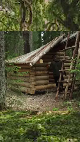 ALONE 45 Days Built my Best BUSHCRAFT Log Cabin EVER. Part 2 #bushcraft #build #camp #camping #survival #shelter #wildlife #Outdoors #outdoor #viral #fyp #foryou