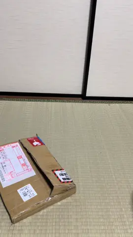 Tình cờ gặp được e Mac pro sạc có mấy chục lần 😅 #fyp #japanlife🇯🇵 #mercari #yahoojapan #CapCut 