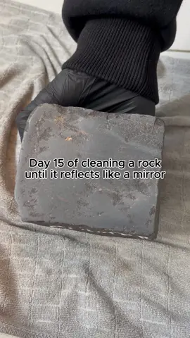 Day 15 of cleaning Günter🗿 #rock #cleaning #mirror 