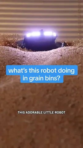 This cute little robot is inside a grain bin - and it’s helping save farmers’ lives. Here’s how… After grain on a farm is harvested - think barley, corn, wheat - it gets stored in HUGE grain bins. When the grain is ready to be shipped off the farm, it gets pulled out through the bottom by a rotating blade. Sometimes farmers have to go in there to break up chunks that are stuck together and ensure it all flows smoothly. But that can be dangerous because the grain can act like quicksand. But this robot can do that task for them…  I love this robot. I’m learning so much about farming tech. I even got to visit John Deere’s test farm in Iowa, where I saw a TON of their craziest machines. Follow to see that story soon! If you like optimistic science and technology stories, follow for more of our show Huge If True. #farm #tech #science #stem #farming