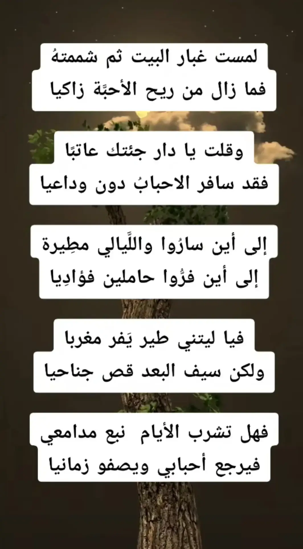 #هلاليه  #وطن_موجوع  #ربنا_يصلح_حال_البلد🇸🇩  #القوات_المسلحة_السودانية  #سودانيز_تيك_توك_مشاهير_السودان 