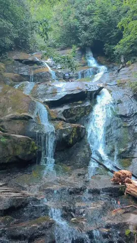 Nature Vibes in Georgia - Ammons Creek Falls - Rabun  County  #waterfall #waterfalls #nature #naturevibes #naturelove #naturelover #naturelovers #calming #positivevibe #peaceful #goodvibes #longwaydown #forest #forestvibes #photography #beauty #fyp #takeawalk #explore #trail #Hiking #hike #Outdoors #trails #lovetrails #positivevibes #natureisbeautiful #meditation #aestheticnature #timepass #lostworld #meditate #trailspinexplorer 