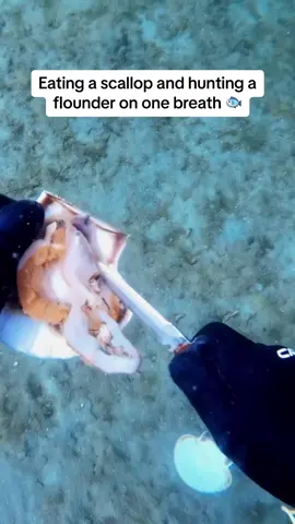 The most sustainable way to hunt! Got lucky on this dive! #spearfishing #flounder 