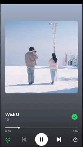 wish u - 16 #CapCut #spotify #fypシ゚viral #playlist 