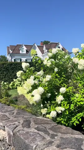 Coastal Connecticut 🦞 #connecticut #fairfield #fairfieldcounty #beach #coastalgrandmother 