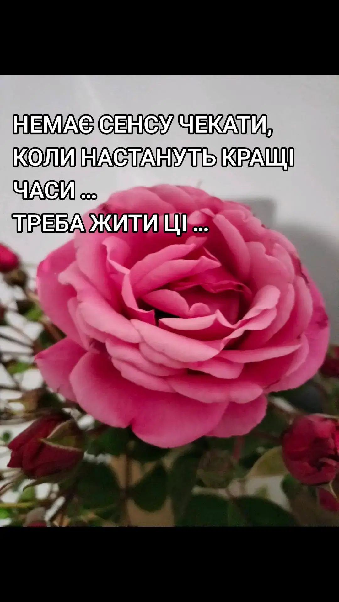 дякую за все , що я маю ❤️ #життячудове 