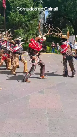 Los Cornudos o Cuernudos de Calnali son originarios del estado de Hidalgo. Esta danza representa la cacería del venado en la Sierra de Hidalgo. Los Cuernudos estuvieron en el evento de Hidalgo en los pinos @Complejo Cultural Los Pinos @Secretaria de Turismo Hidalgo   #mexicotiktok #folklor #culturamexicana  #folklore #cuernudosdecalnali #artepopular #mexicano 