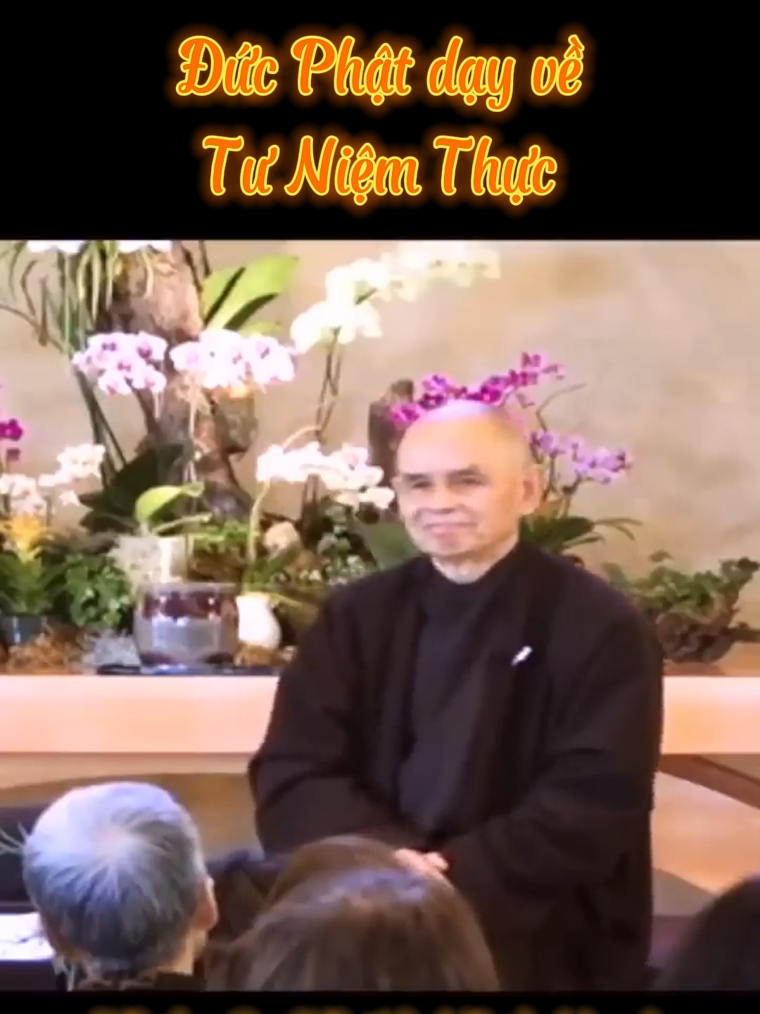 Đức Phật dạy về Tư Niệm Thực. Thiền Sư Thích Nhất Hạnh #thiensuthichnhathanh #thichnhathanh #thaythichnhathanh #suonglangmai #thiendinh #nghephap #tutap #nhungcaunoihay #ynghiacuocsong #songkhoe #daophat #phatphap #phatgiao #chanhphap