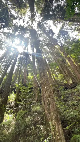 健走