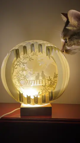 Cat 3D paper lamp ស្អាតមែនបងៗ❤️❤️#fy#handmade#lamp#cat 