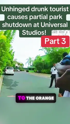 Unhinged drunk tourist causes partial park shutdown at Universal Studios!  #cops #copsoftiktok #police #policeofficer #arrested #jail #lawenforcement #viral #usa #flypシ #court #usa🇺🇸 #foryoupage #judge 