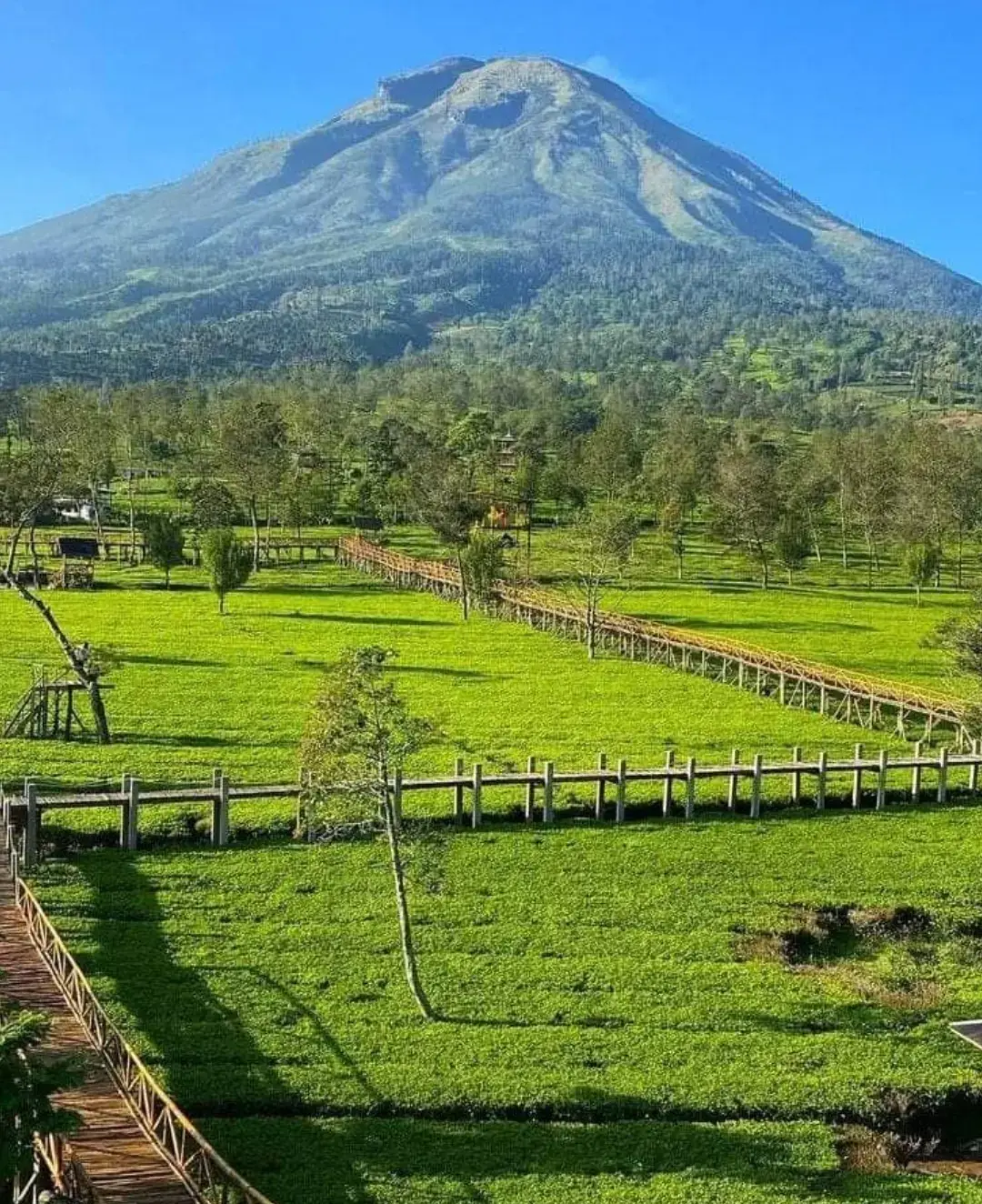 yen aku wes kangen sliramu