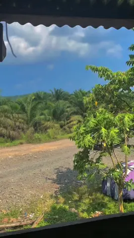 INDAK KA DENAI PUTUIH KAN TALI BADUNSANAK 🎼#laguviral #laguminang #fyp #lewatberanda #bosmuda #fypシ #mukomuko #fazelgroup #sawit #sawitsumatraindonesia🌴🌴🌴 #sawitontiktok #viralvideo #cantermaniaindonesia #fypage #trucksawit #stylesumbar 