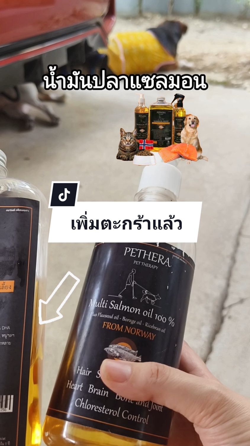 ตอบกลับ @siraneeponglaor พิกัดร้านในตะกร้าค่ะ น้ำมันปลามันปลาแซลมอนนอลเวย์ สำหรับสัตว์เลี้ยง #น้ํามันปลาบํารุงสุนัขและแมว #น้ํามันปลาแซลมอนสําหรับสัตว์เลี้ยง #น้ํามันปลา #เพ็ทเทอร่า 