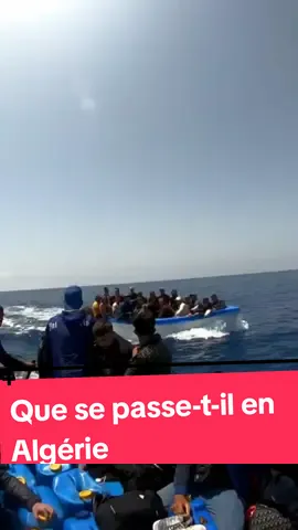 Que se passe-t-il en Algérie ? #vues #viral #pourtoi #migrants #sanspapier #france🇫🇷 #españa 