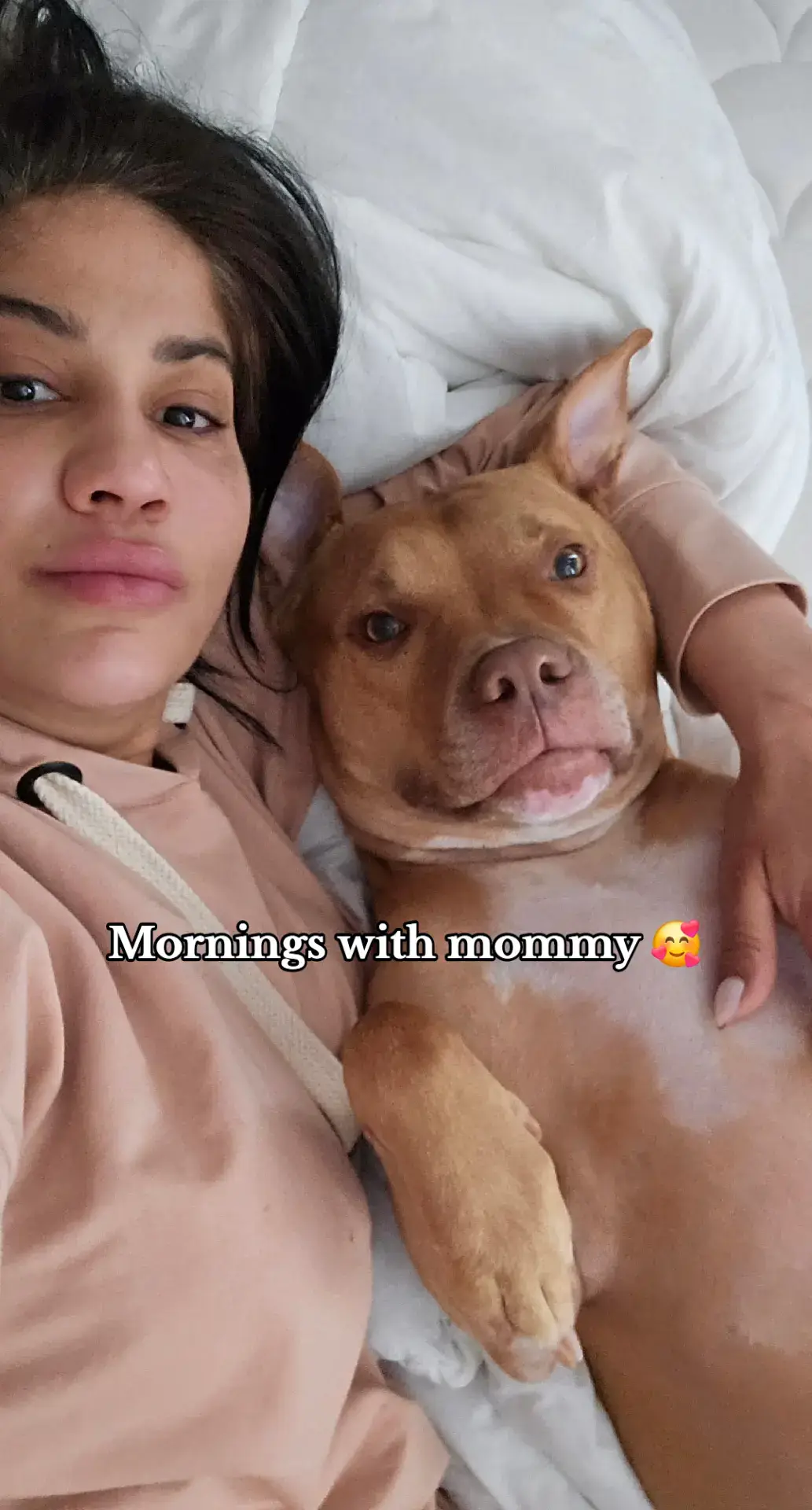 Good morning fwends 🫶🐾 mornings with mommy are the best 😍 we always cuddle before we get up. She says i'm just a big baby 🤭 Wuff you fwends 🫶🐾🐶 #cutepitbull #cutedog #pitbullkisses #morningcuddles  pitbull morning cuddles, pitbull morning kisses, cute pitbull, cute dog