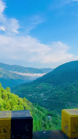 View🔥❤️ #view #kashmirbeauty #nature #kashmirbeauty #rawalakot #trendingvideo #foryou #foryoupage #viralvideo 