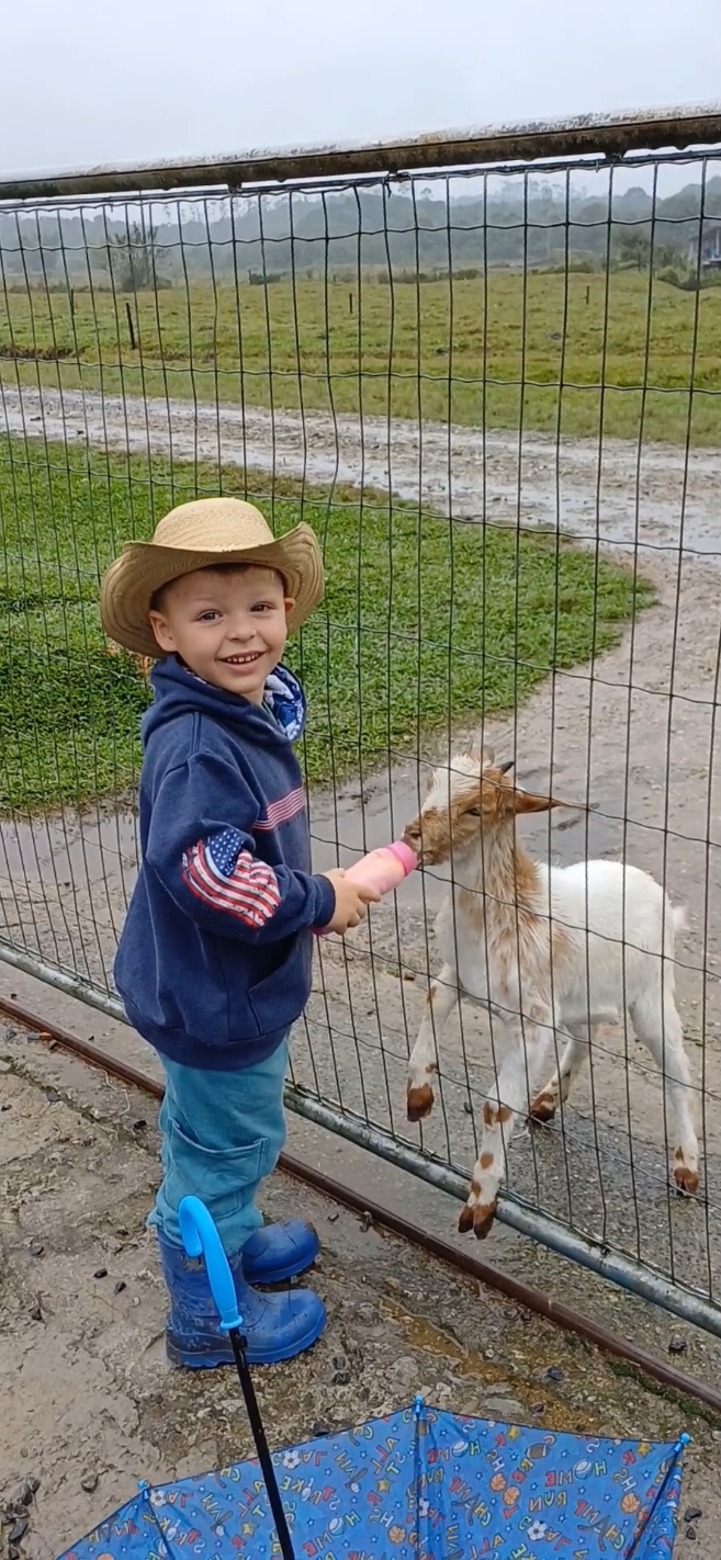 O Campeiro feliz dando mamazinho da Mel 🤠🐐😍